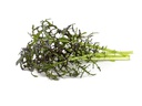 Click and Grow Saatgut Roter Rüschen-Senf, 3er-Pack