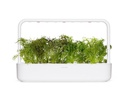 Click and Grow Saatgut Roter Rüschen-Senf, 3er-Pack