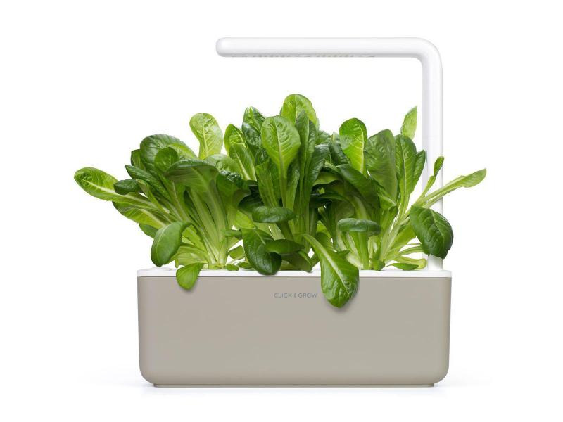 Click and Grow Saatgut Römersalat