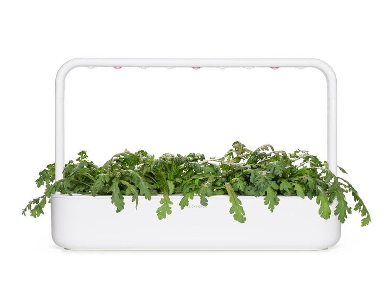 Click and Grow Saatgut Shungiku 3er-Pack