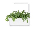 Click and Grow Saatgut Shungiku 3er-Pack