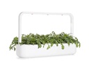 Click and Grow Saatgut Shungiku 3er-Pack