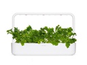 Click and Grow Saatgut Wasabi-Senf 3er-Pack