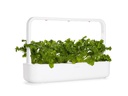 Click and Grow Saatgut Wasabi-Senf 3er-Pack