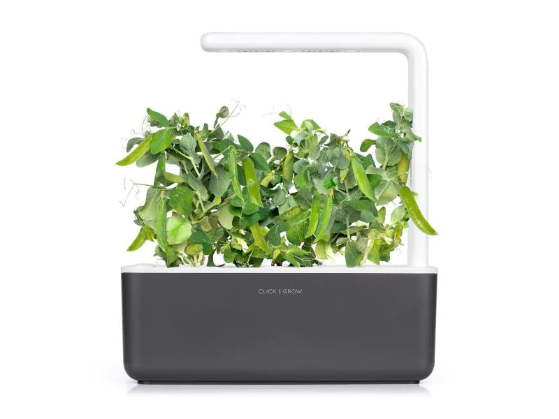 Click and Grow Saatgut Zwergerbsen