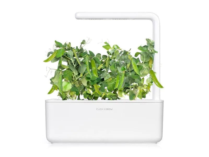 Click and Grow Saatgut Zwergerbsen