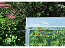 Windhager Tomatenhaus AluProfi