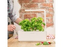 Click and Grow Kräutertopf Smart Garden 3 Beige