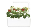 Click and Grow Kräutertopf Smart Garden 3 Beige