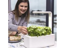 Click and Grow Kräutertopf Smart Garden 3 Beige