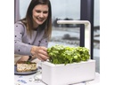 Click and Grow Kräutertopf Smart Garden 3 Weiss