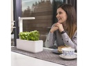Click and Grow Kräutertopf Smart Garden 3 Weiss
