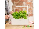 Click and Grow Kräutertopf Smart Garden 3 Weiss