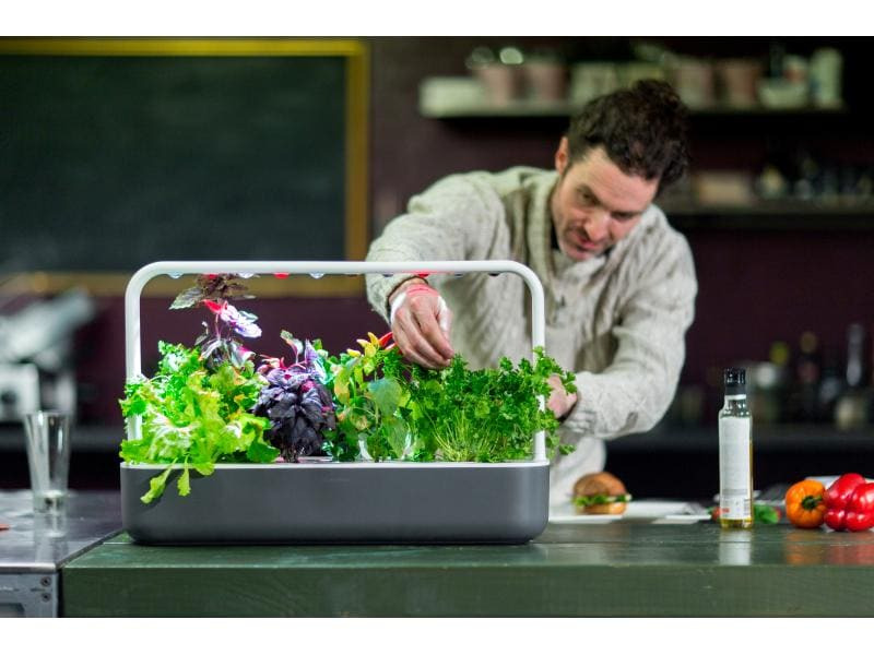 Click and Grow Kräutertopf Smart Garden 9 Dunkelgrau