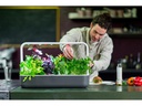 Click and Grow Kräutertopf Smart Garden 9 Dunkelgrau