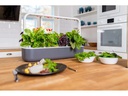 Click and Grow Kräutertopf Smart Garden 9 Dunkelgrau