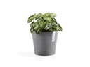 Ecopots Pflanzentopf Amsterdam 20 Grau