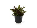 Ecopots Pflanzentopf Oslo 35 Dunkelgrau