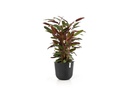 Ecopots Pflanzentopf Oslo 45 Dunkelgrau