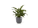 Ecopots Pflanzentopf Oslo 45 Grau
