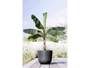 Ecopots Pflanzentopf Oslo 55 Dunkelgrau