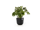 Ecopots Pflanzentopf Oslo 55 Dunkelgrau