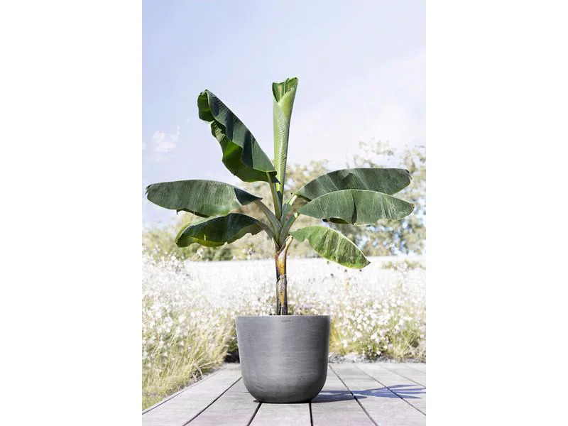 Ecopots Pflanzentopf Oslo 55 Grau