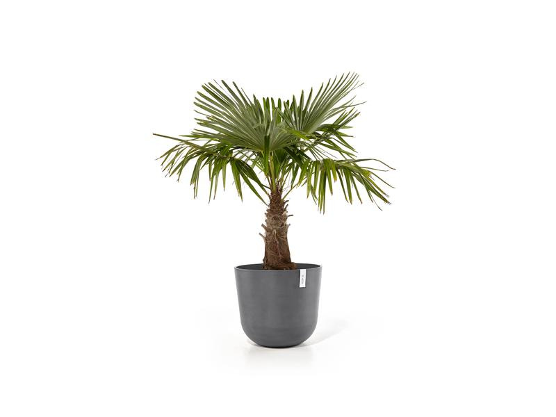 Ecopots Pflanzentopf Oslo 55 Grau