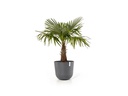 Ecopots Pflanzentopf Oslo 55 Grau