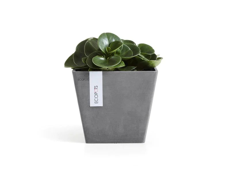 Ecopots Pflanzentopf Rotterdam 20 Dunkelgrau