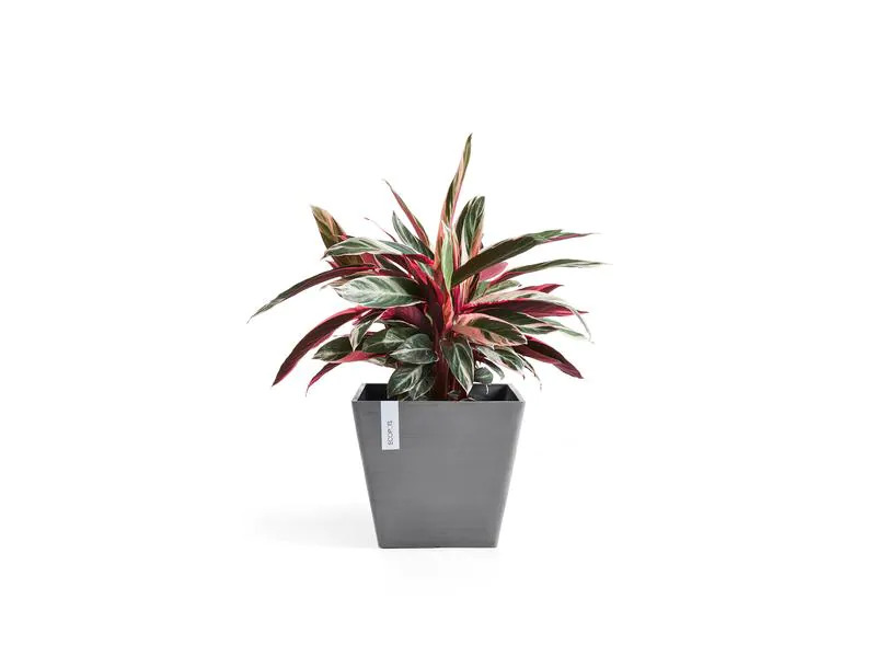 Ecopots Pflanzentopf Rotterdam 50 Dunkelgrau