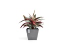 Ecopots Pflanzentopf Rotterdam 50 Dunkelgrau