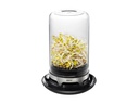 GEFU Sprossenglas Bivita 2.49 l, Schwarz