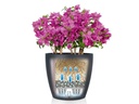 Lechuza Blumentopf CLASSICO Color 18 Weiss matt