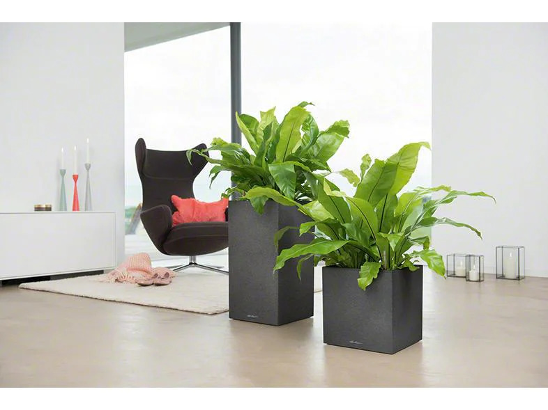 Lechuza Blumentopf Canto Säule, Schwarz