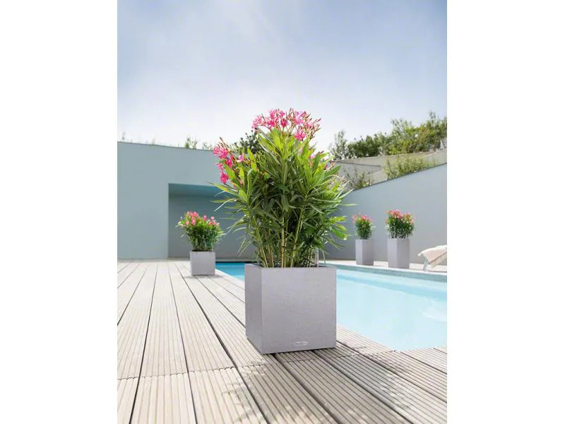 Lechuza Blumentopf Canto Würfel, Schwarz