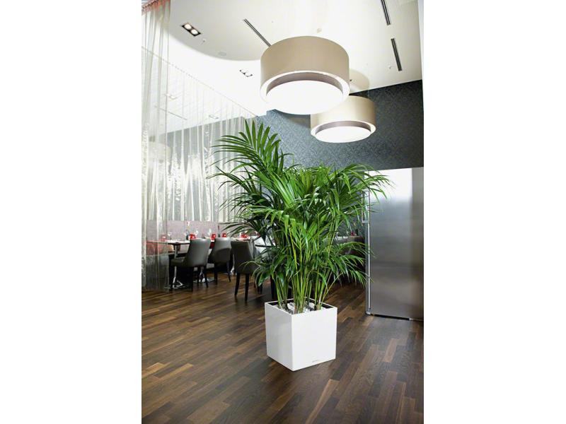 Lechuza Blumentopf Cube 30 Weiss hochglanz