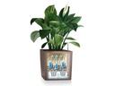 Lechuza Blumentopf Cube 40 Anthrazit