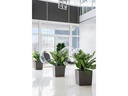 Lechuza Blumentopf Cube 50 Anthrazit metallic
