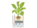 Lechuza Blumentopf Cube 50 Anthrazit metallic