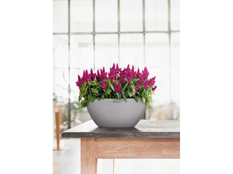 Lechuza Blumentopf Cubeto Color 30 Schwarz