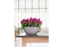 Lechuza Blumentopf Cubeto Color 30 Schwarz