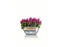Lechuza Blumentopf Cubeto Color 30 Schwarz