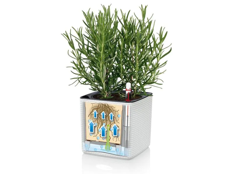 Lechuza Blumentopf Green Wall Home Kit CO Weiss