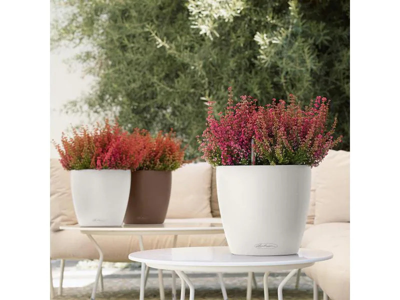 Lechuza Pflanzentopf CLASSICO Color 21 Braun