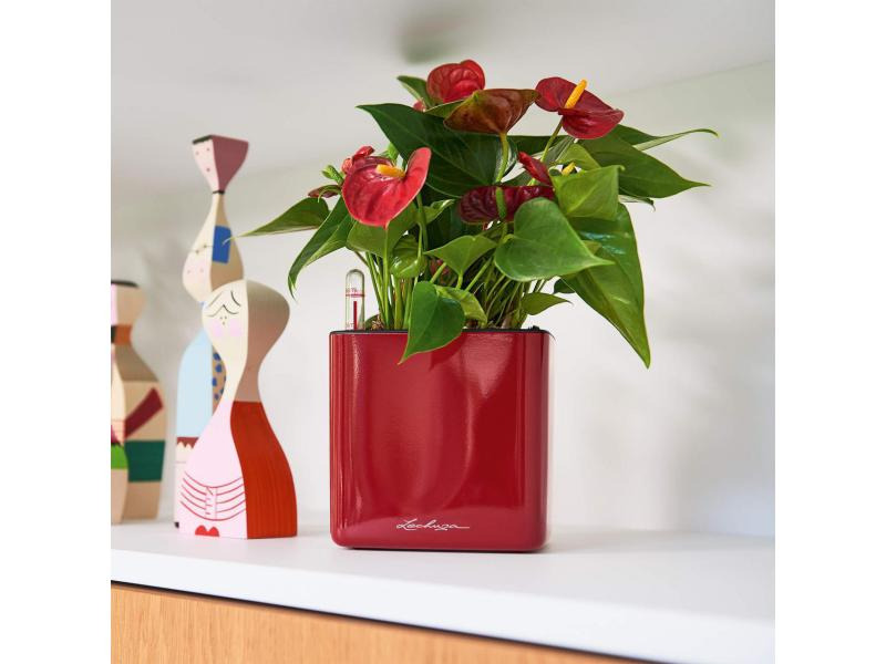 Lechuza Pflanzentopf CUBE Glossy Braun