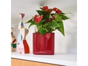 Lechuza Pflanzentopf CUBE Glossy Braun