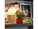 Lechuza Pflanzentopf CUBE Glossy Kupfer