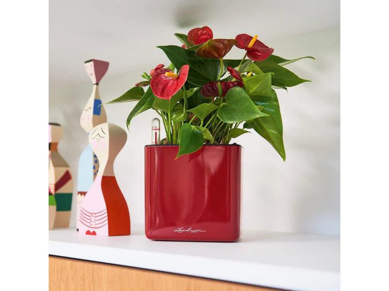 Lechuza Pflanzentopf CUBE Glossy Kupfer
