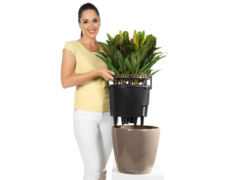 Lechuza Pflanzentopf Classico Premium 21 LS Dunkelgrau